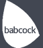 Babcock 标志